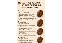 ☕ Les Types de Grains de Café : Tout Ce Que Vous Devez Savoir